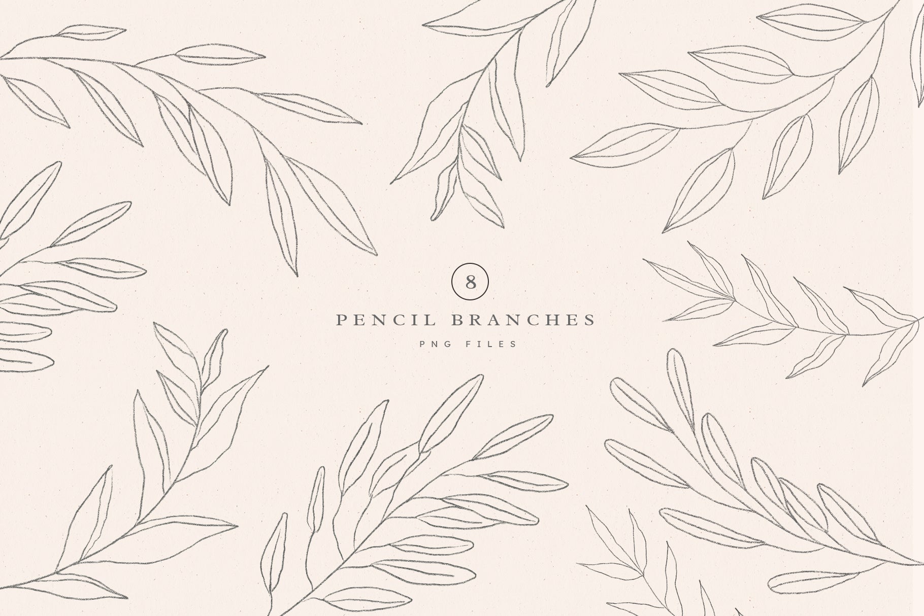 hand drawn pencil branches graphic elements