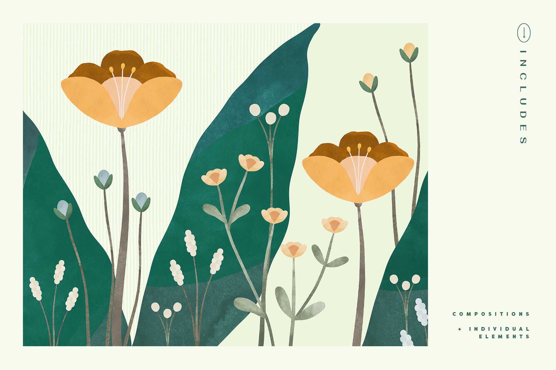 Painted Flowers & Compositions