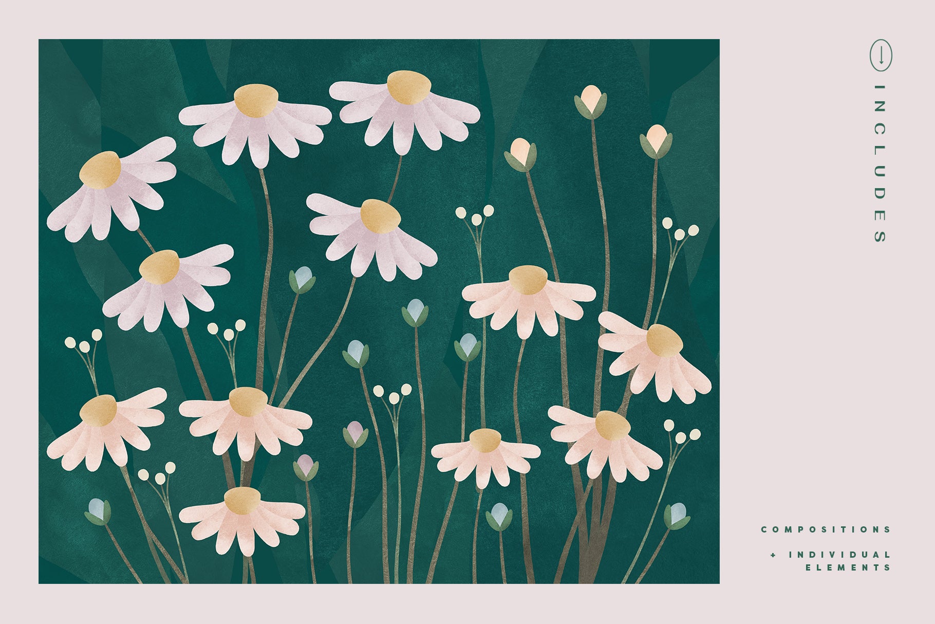 Painted Flowers & Compositions
