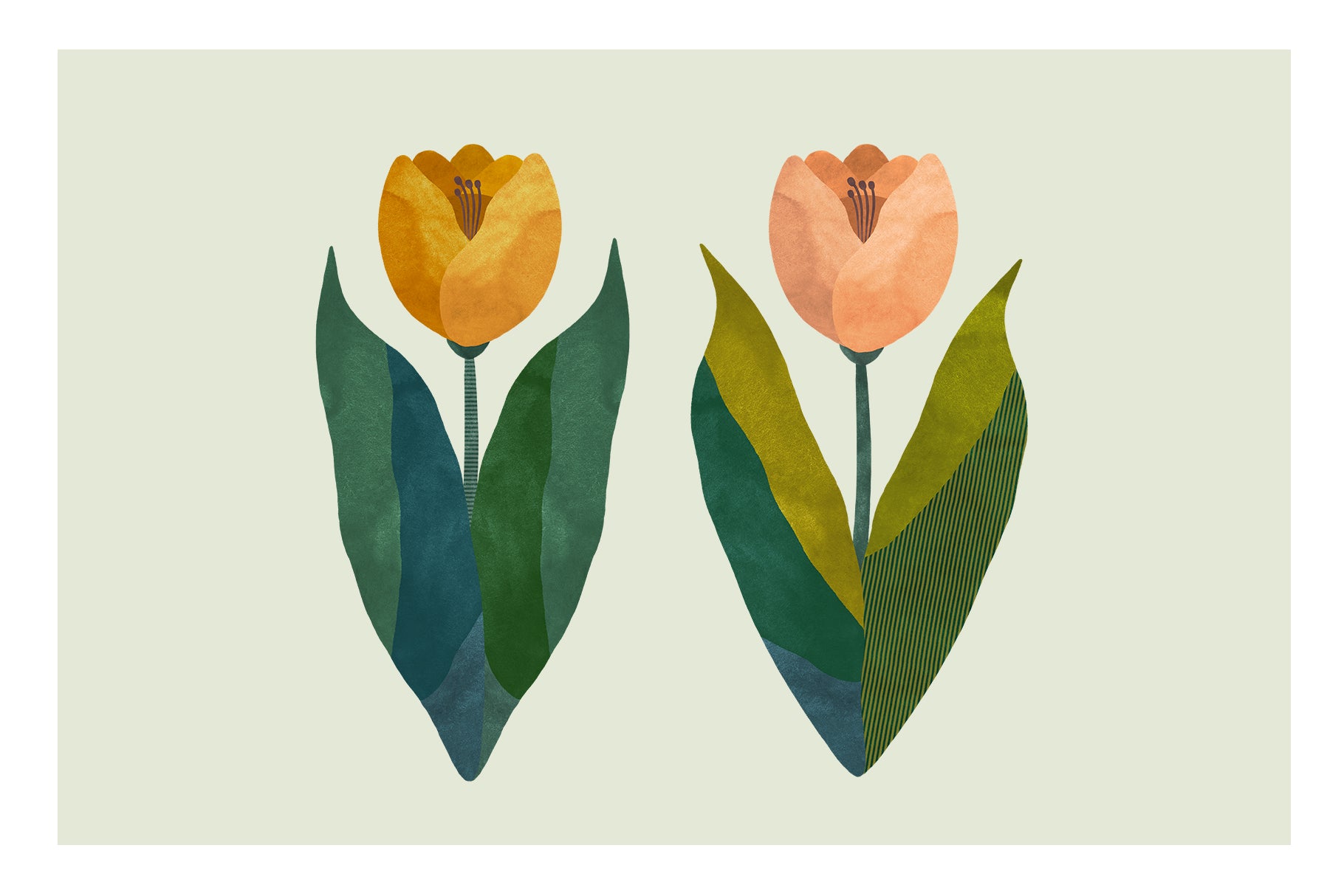 modern painted tulips