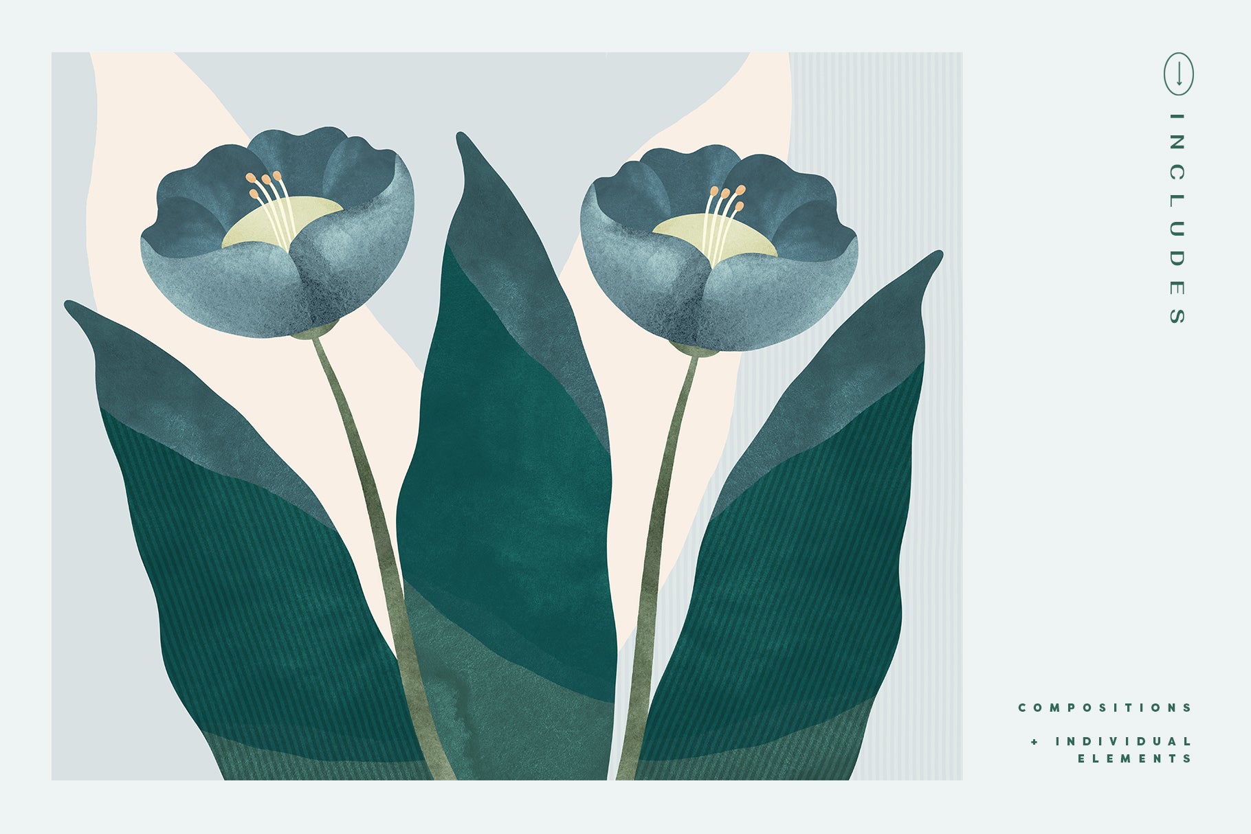Painted Flowers &amp; Compositions