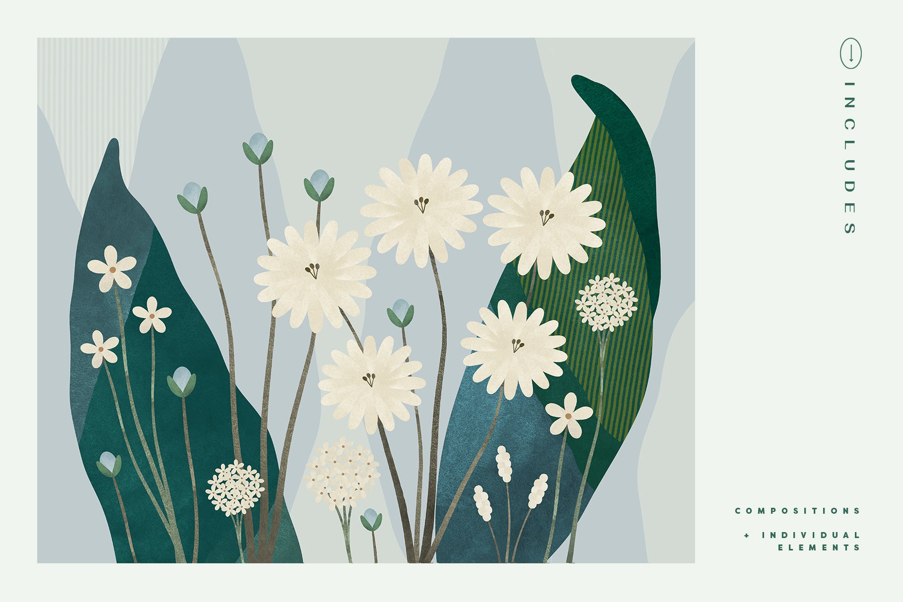 Painted Flowers &amp; Compositions