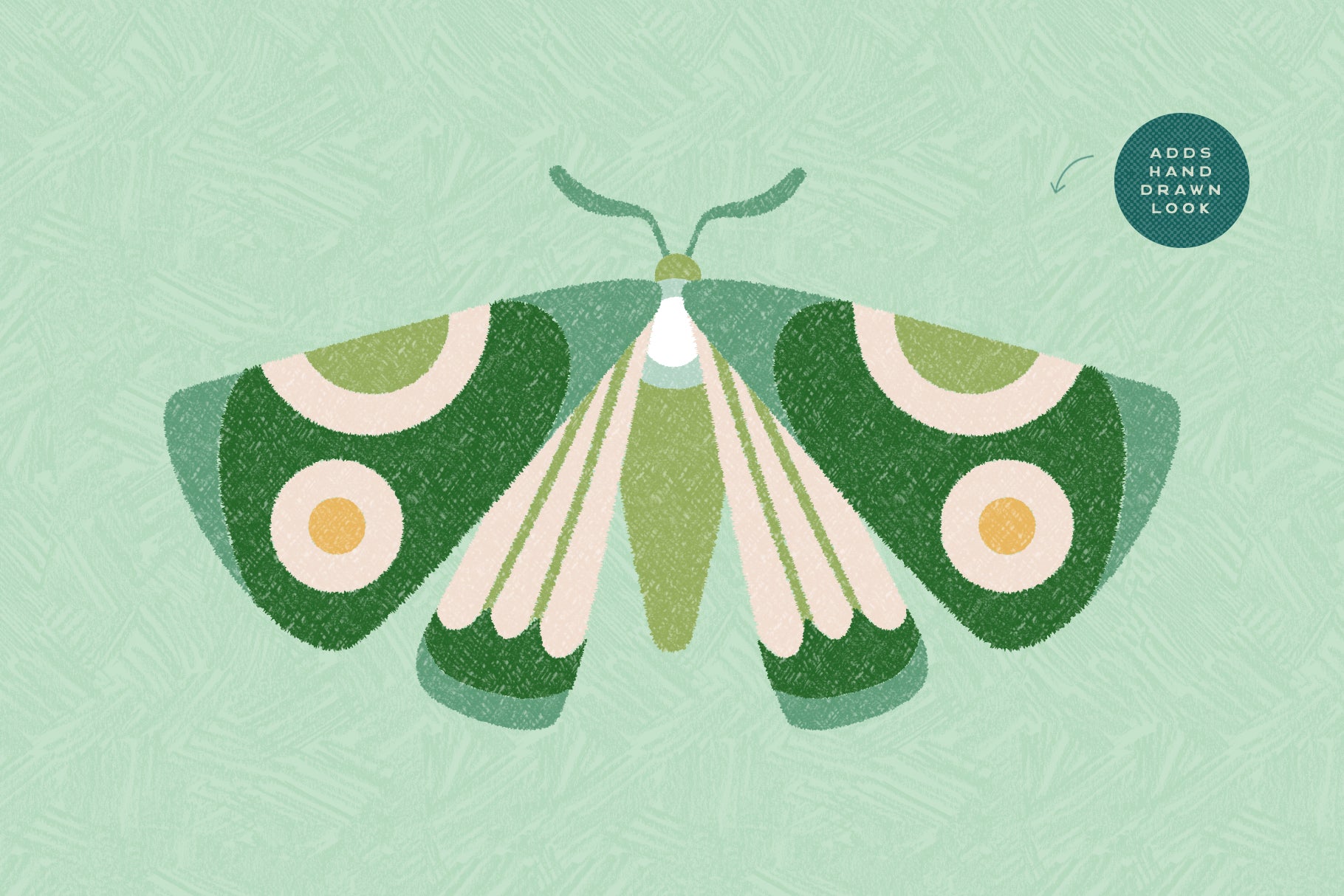 Illustration of a green moth with hand drawn texture effect for Photoshop and Illustrator 