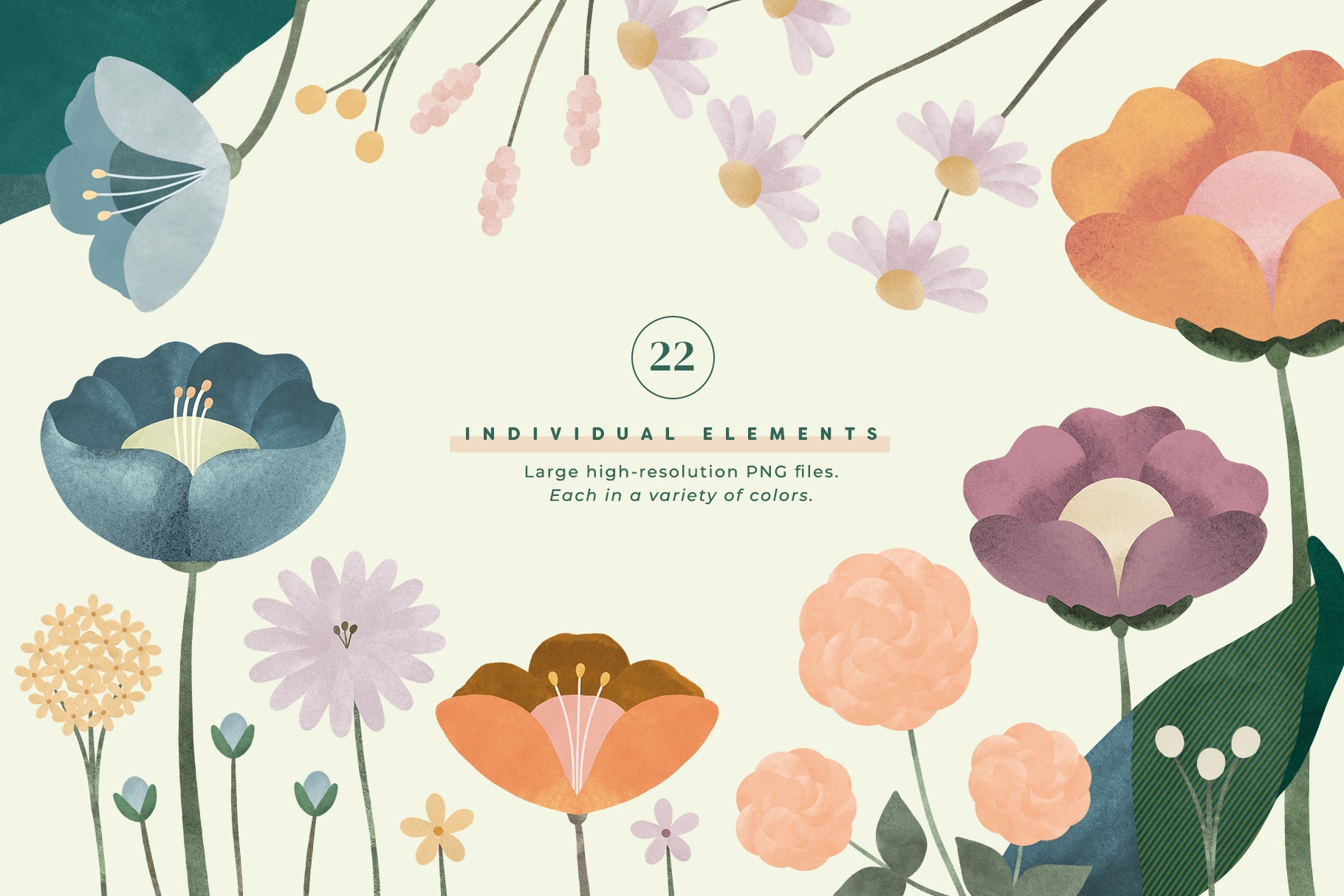 Painted Flowers &amp; Compositions