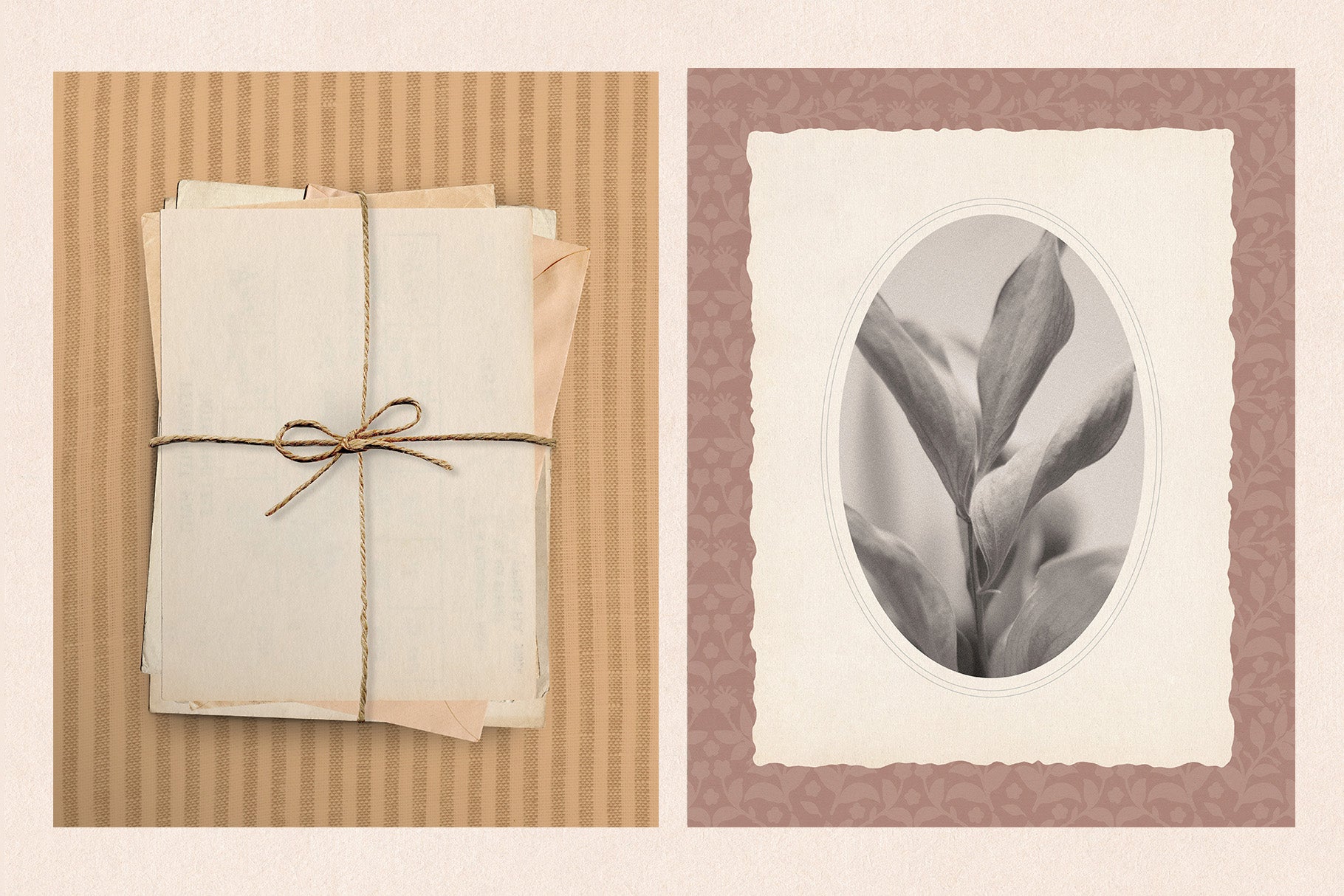Ephemera collage design elements elegant and feminine 