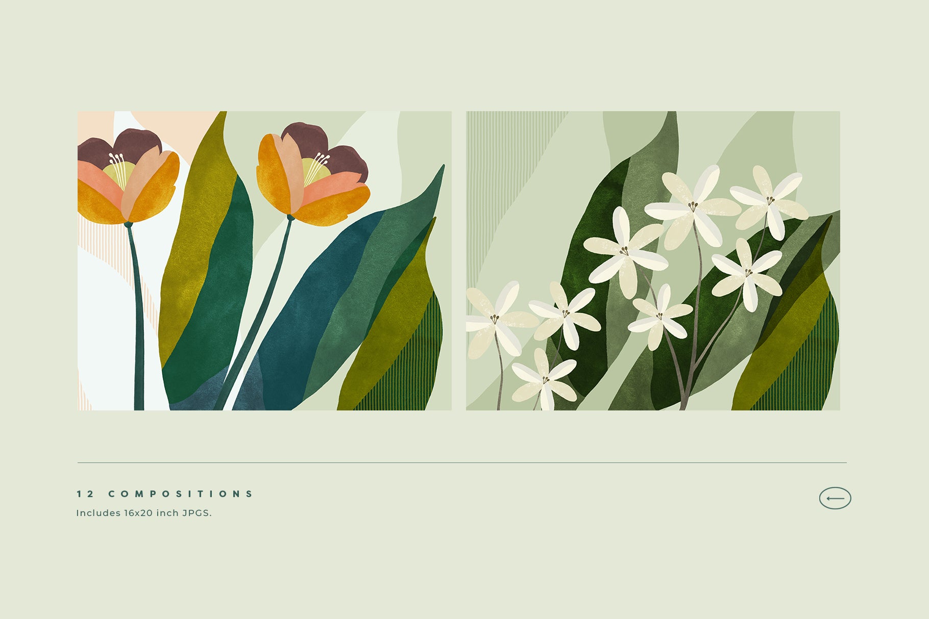 modern floral backgrounds