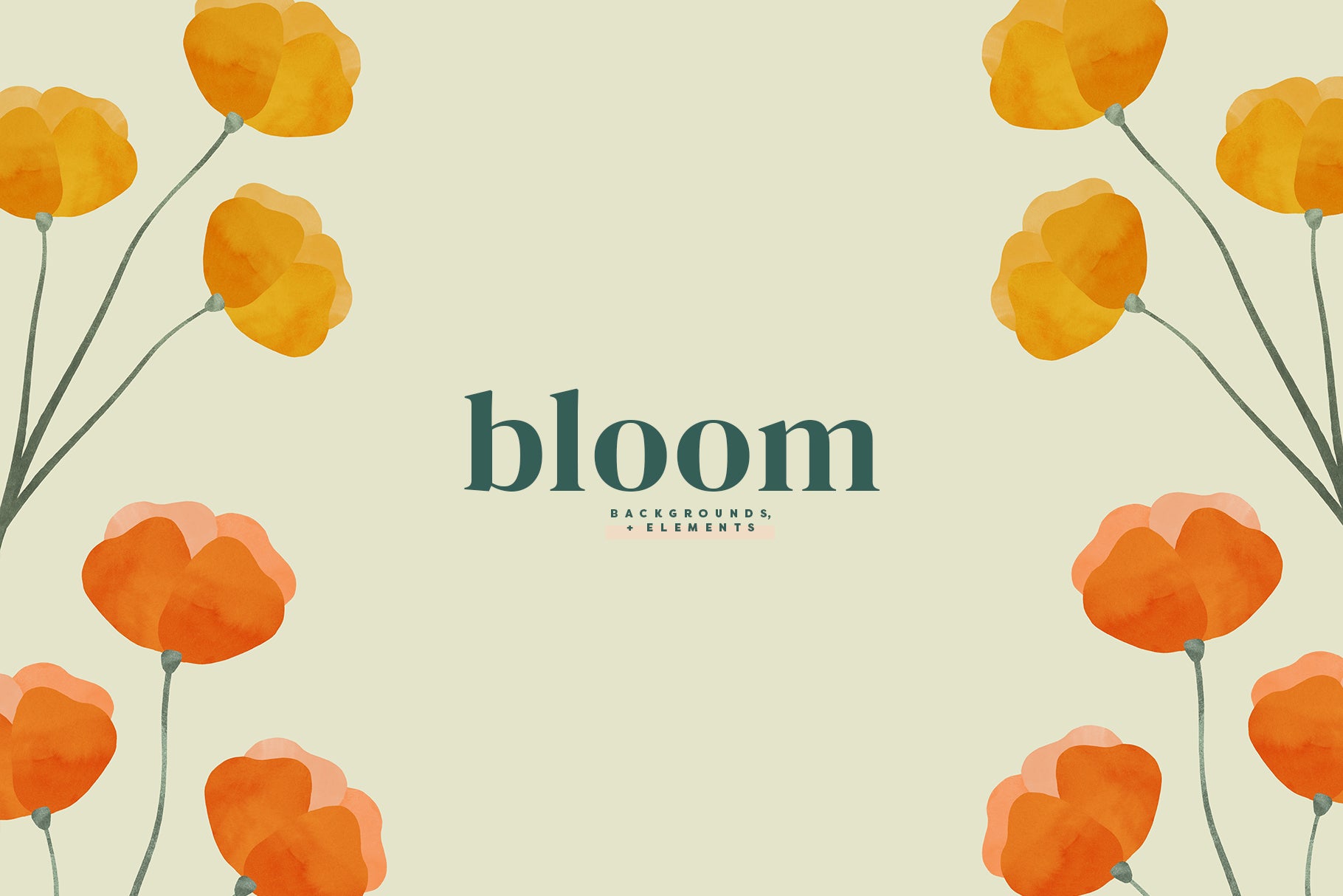 yellow California poppy flowers design elements