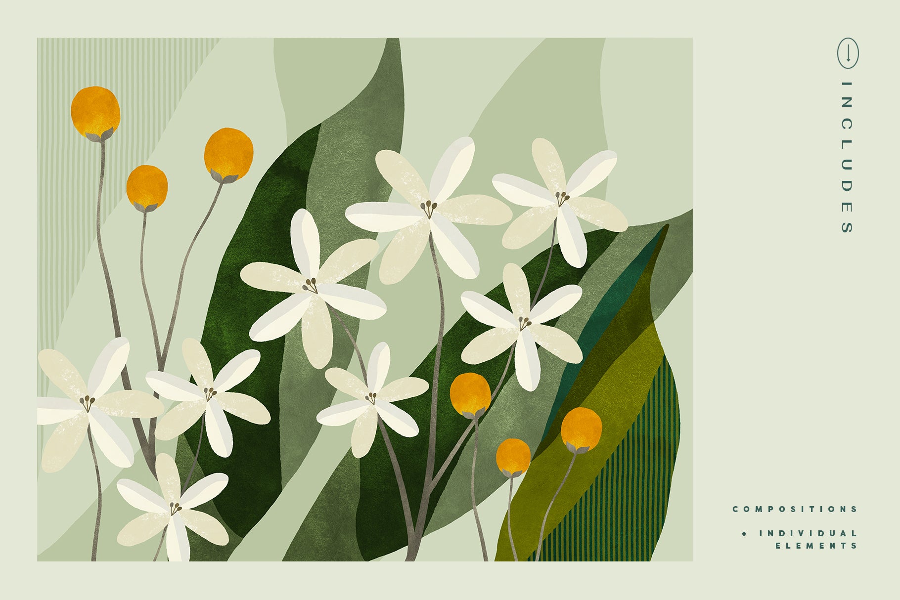 white and green watercolor flowers clip art