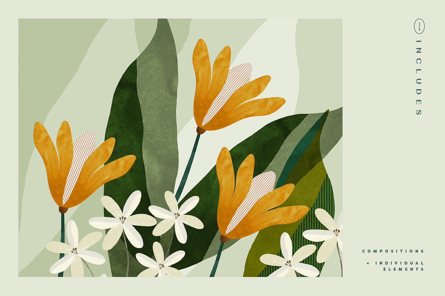 watercolor flowers design elements