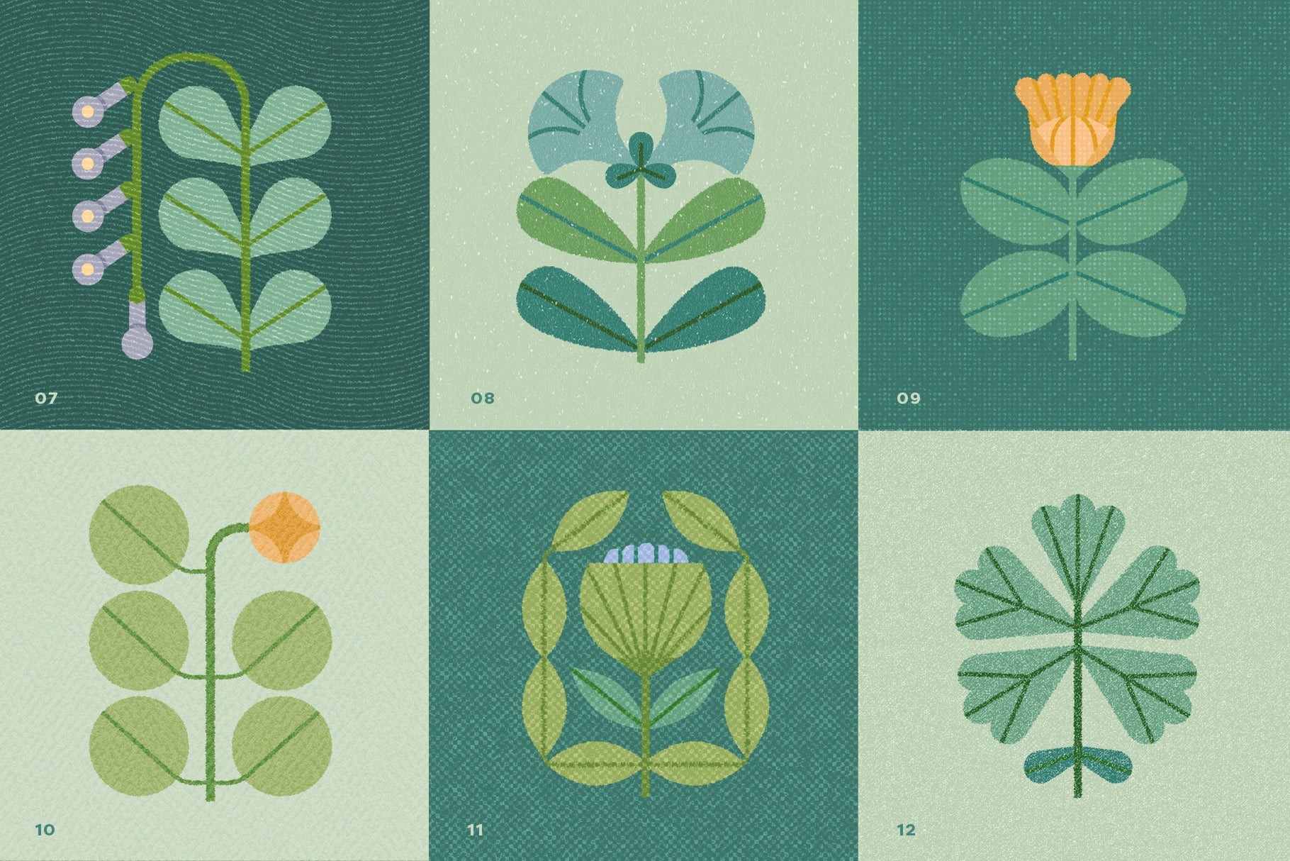 Set of six modern floral illustrations showing white texture overlays for digital art